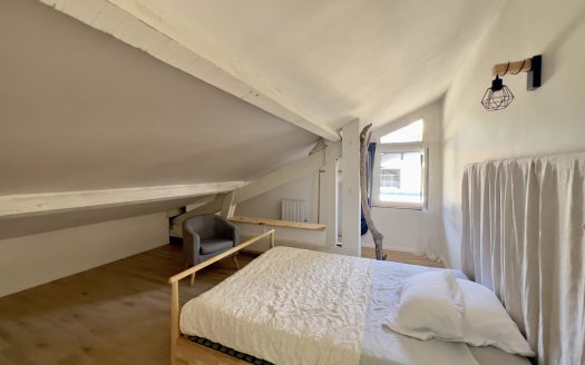 GRANDE MAISON FAMILIALE OU 2 APPARTEMENTS INDÉPENDANTS- À VOUS DE CHOISIR