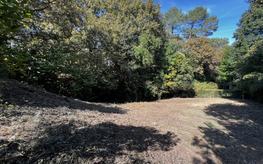 TERRAIN CONSTRUCTIBLE ANGLET CANTAU – UN ÉCRIN DE NATURE POUR BÂTIR VOTRE PROJET DE VIE