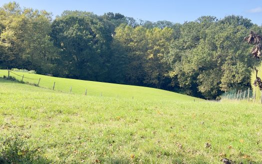 TERRAIN À BÂTIR – CAMPAGNE PROCHE DU BOURG -AU CALME