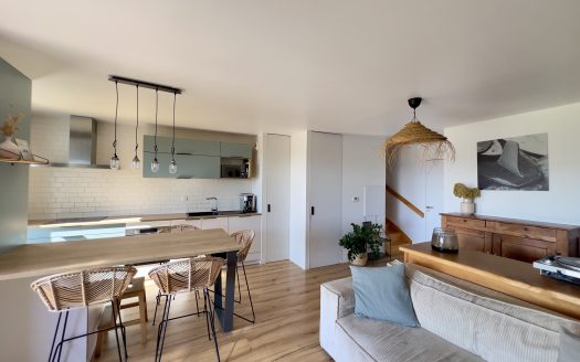 ANGLET – CHARMANT DUPLEX TYPE MAISON– SUPERBE VUE DÉGAGÉE SUR LA MONTAGNE